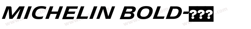 Michelin Bold字体转换